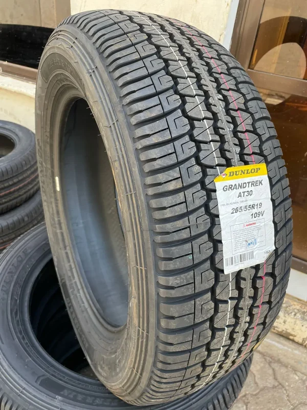 Dunlop Grandtrek AT30 265/55R19 – All-Terrain SUV Tyre - Tire Proz ...
